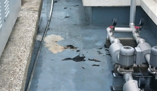 屋上防水層　剥がれ